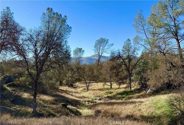 4541 Little Buck Ct, Mariposa CA, 95338 land for sale