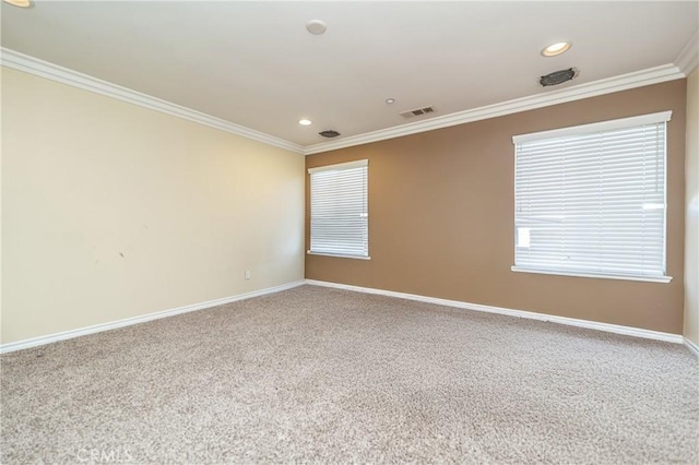 empty room featuring carpet floors and crown molding