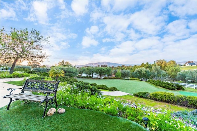 view of property's community featuring a lawn and a mountain view