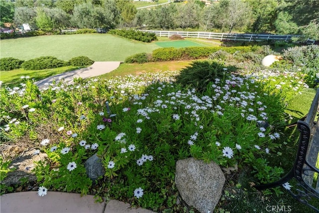 view of property's community featuring a yard