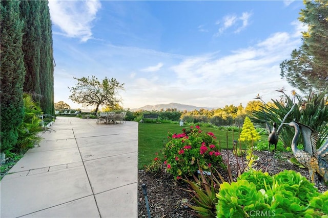 view of property's community featuring a mountain view, a yard, and a patio