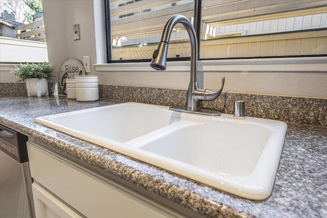 room details with dishwasher and sink