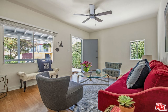 living room with ceiling fan and light hardwood / wood-style floors