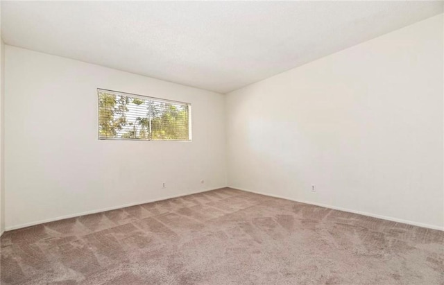 unfurnished room featuring carpet