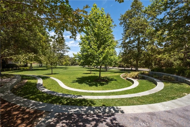 view of community with a lawn