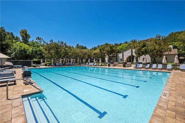 view of pool with a patio area