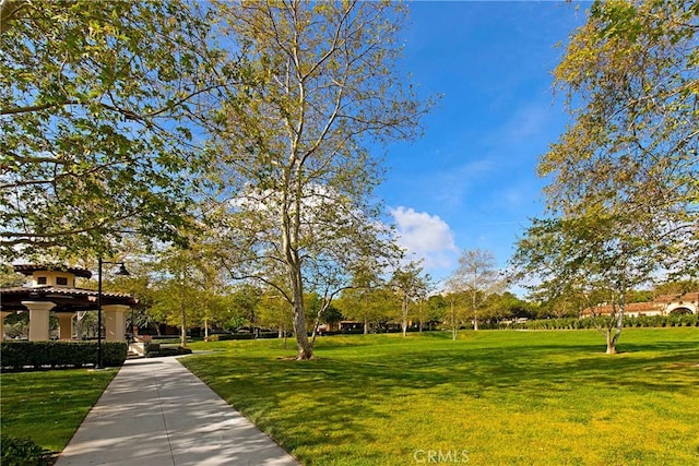 view of home's community featuring a yard