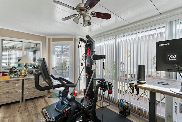 workout room featuring ceiling fan and hardwood / wood-style flooring