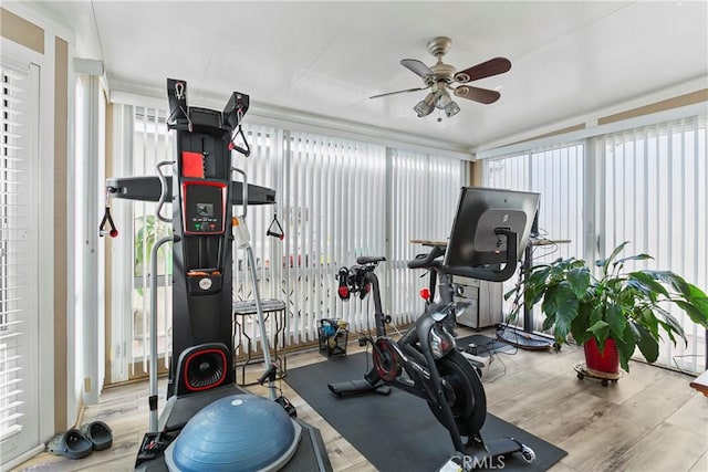 exercise area with light wood-type flooring, ceiling fan, and a healthy amount of sunlight