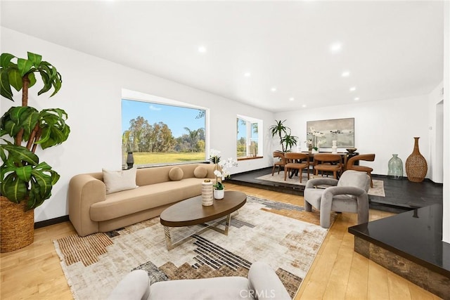 living room featuring light hardwood / wood-style flooring