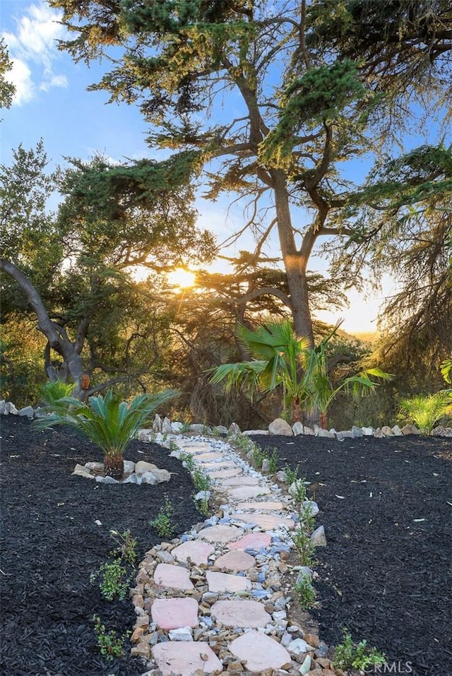 view of yard at dusk