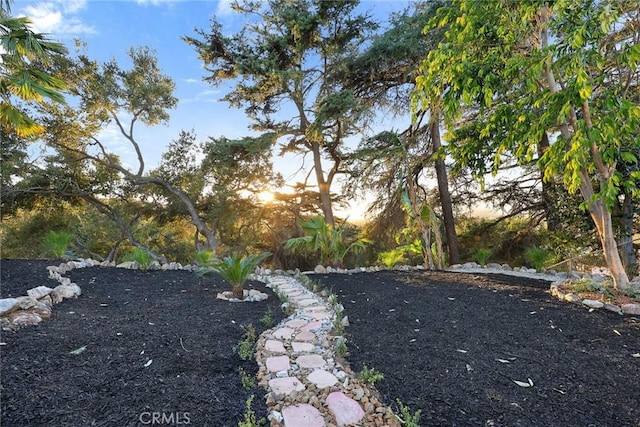 view of yard at dusk