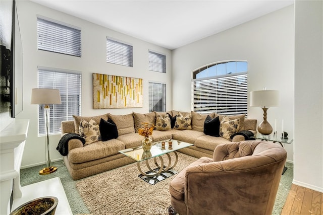 living room with hardwood / wood-style flooring