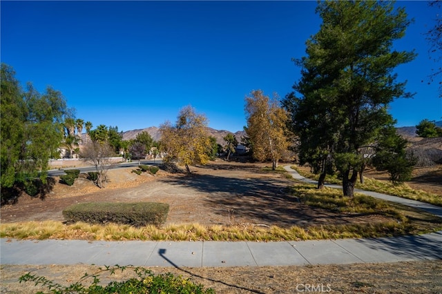 view of yard featuring a mountain view