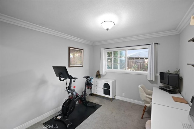 exercise area with carpet flooring and crown molding