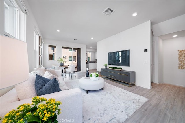 living room with light wood-type flooring