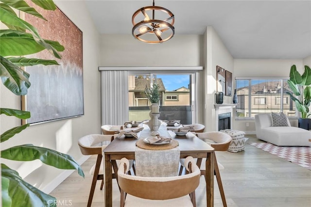 dining room with light hardwood / wood-style floors