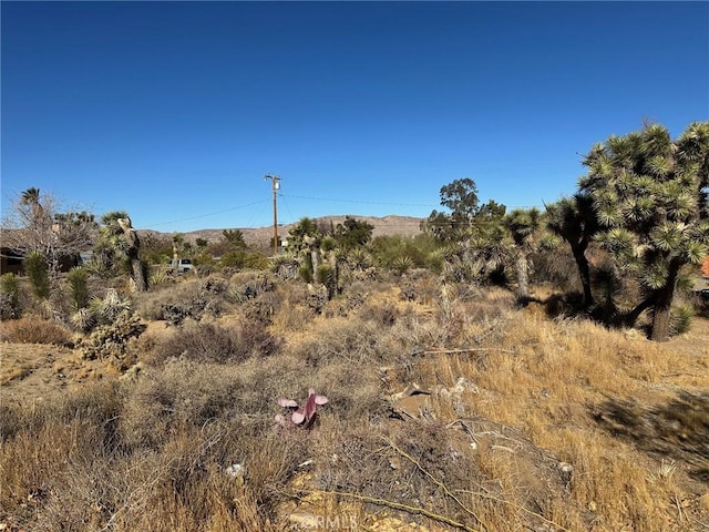 Listing photo 3 for 56434 Desert Gold Dr, Yucca Valley CA 92284