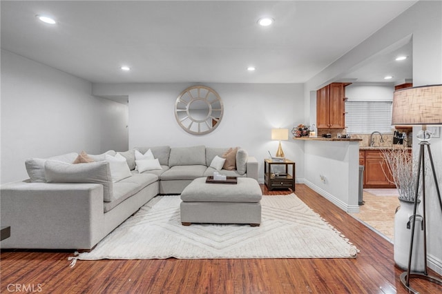 living room with wood-type flooring and sink