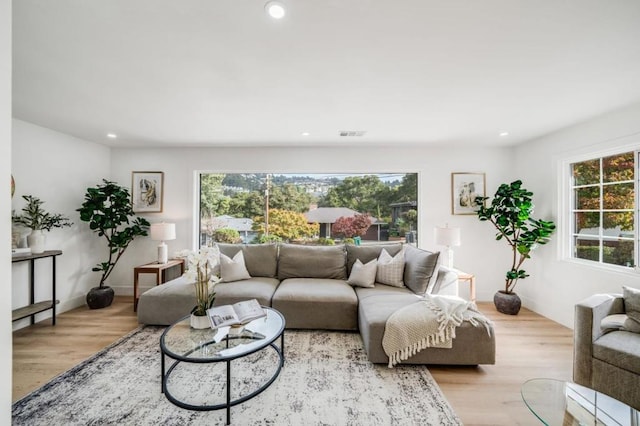 living room featuring light hardwood / wood-style floors