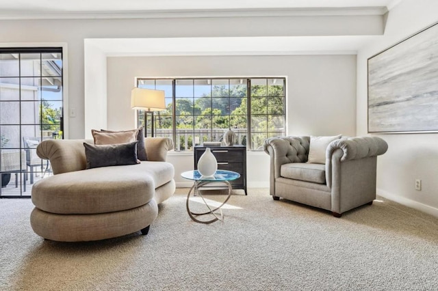 view of carpeted living room