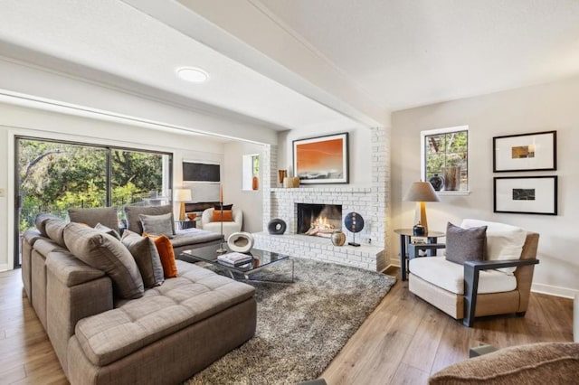 living room featuring plenty of natural light, a fireplace, and light hardwood / wood-style flooring