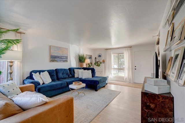 living room featuring light wood-type flooring