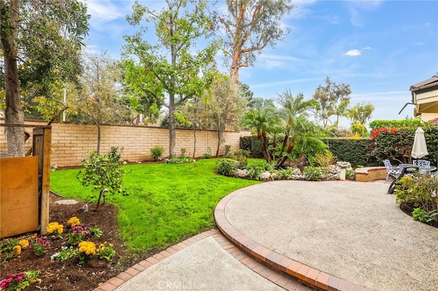 view of yard with a patio area and a fenced backyard