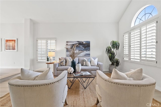 living area with a healthy amount of sunlight, baseboards, and wood finished floors