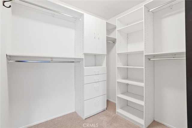 walk in closet featuring light carpet