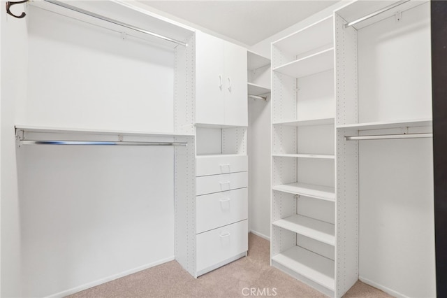 spacious closet with light colored carpet