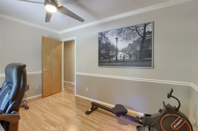 office area featuring ceiling fan, crown molding, and wood-type flooring