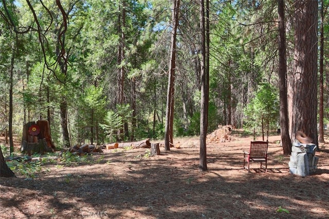 36555 Mudge Ranch Rd, Coarsegold, CA 93614 - view of yard featuring a forest view
