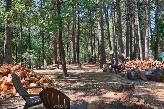 36555 Mudge Ranch Rd, Coarsegold, CA 93614 - view of yard featuring a forest view