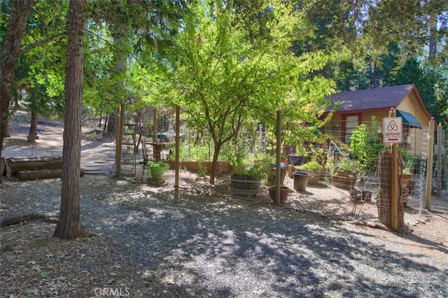 36555 Mudge Ranch Rd, Coarsegold, CA 93614 - view of yard