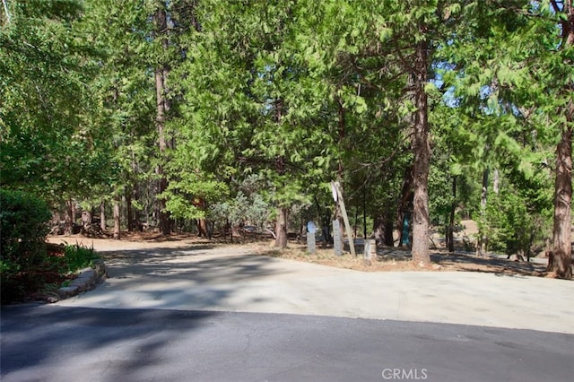 36555 Mudge Ranch Rd, Coarsegold, CA 93614 - view of asphalt road