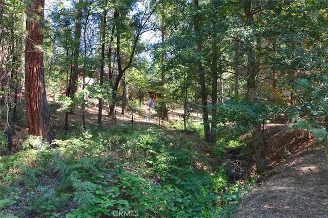 36555 Mudge Ranch Rd, Coarsegold, CA 93614 - view of local wilderness