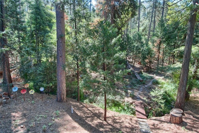 36555 Mudge Ranch Rd, Coarsegold, CA 93614 - view of yard featuring a wooded view