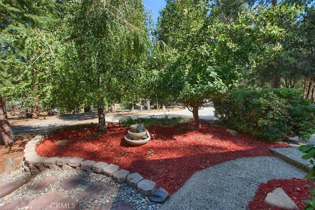 36555 Mudge Ranch Rd, Coarsegold, CA 93614 - view of yard