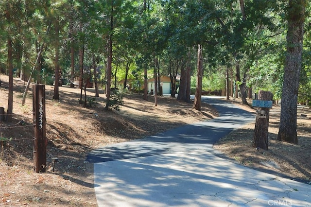 36555 Mudge Ranch Rd, Coarsegold, CA 93614 - view of property's community featuring driveway