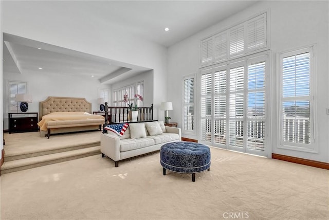 living room with carpet floors