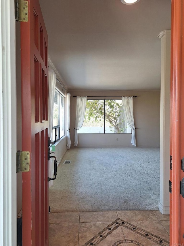 interior space with carpet and a healthy amount of sunlight