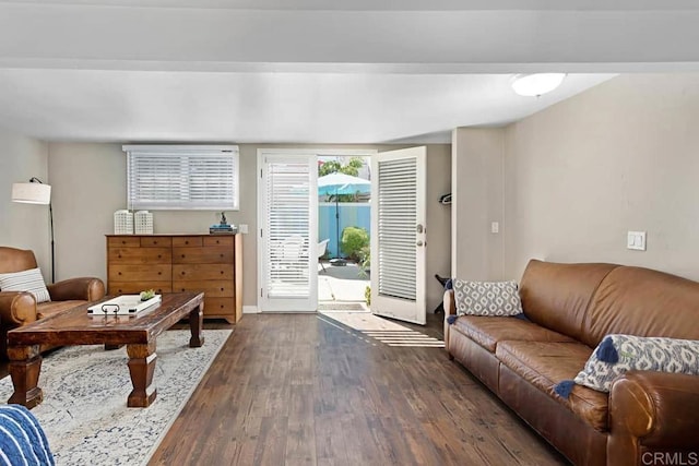 living room featuring dark hardwood / wood-style flooring