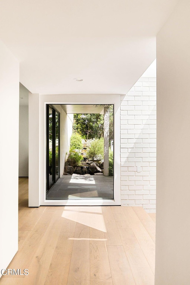 doorway to outside with light hardwood / wood-style flooring