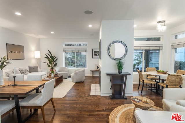 living room featuring dark wood-type flooring