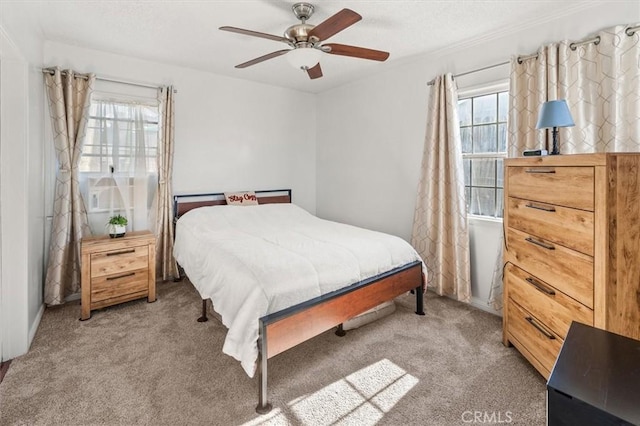 carpeted bedroom featuring multiple windows and ceiling fan