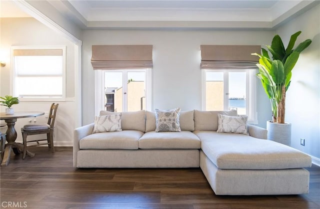 living room with crown molding, dark hardwood / wood-style flooring, and a water view