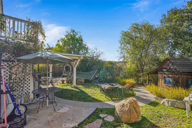 view of yard with a patio and a shed