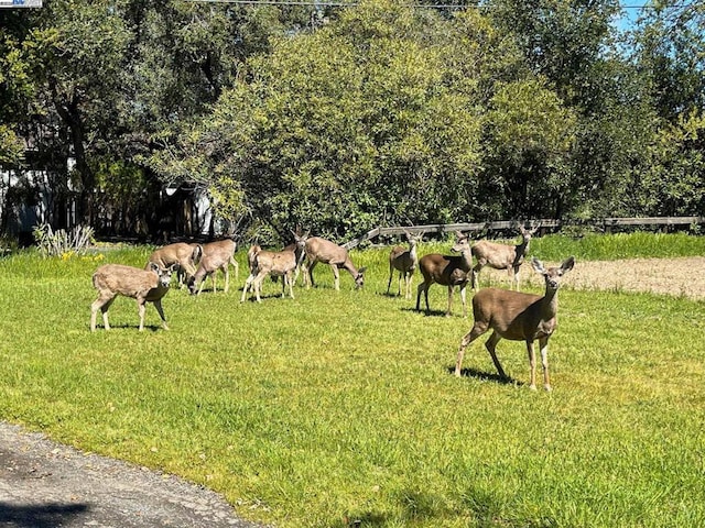 view of property's community with a lawn