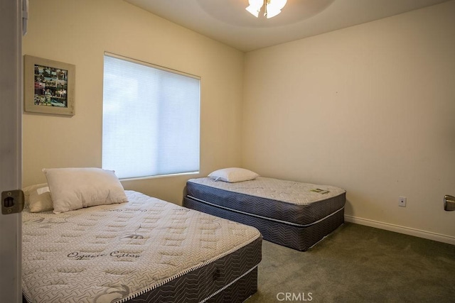 carpeted bedroom with multiple windows and ceiling fan